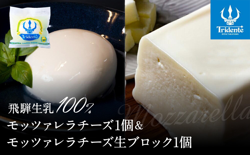 飛騨生乳100％ モッツァレラ1個 &  モッツァレラチーズ生ブロック1個セット | セット チーズ 冷蔵 濃厚 低温殺菌 乳製品 おいしい 人気 チーズ工房トリデンテ LF018