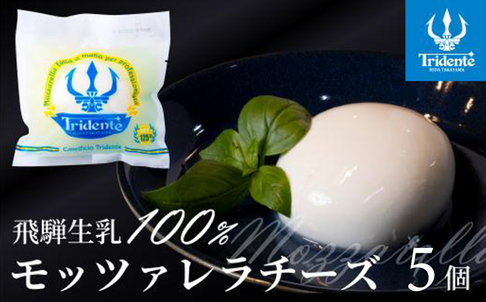 飛騨生乳100％ モッツァレラチーズ5個 セット | セット チーズ 冷蔵 濃厚 低温殺菌 乳製品 おいしい 人気 チーズ工房トリデンテ LF019