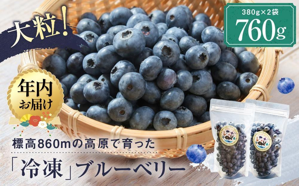 【12月配送】治助ファームの北部ハイブッシュブルーベリー「冷凍果実」380g×2袋 | 年内発送 国産 フルーツ ブルーベリー おやつ 製菓 冷凍 果物 冷凍フルーツ 飛騨高山 治助ファーム LJ004VC12