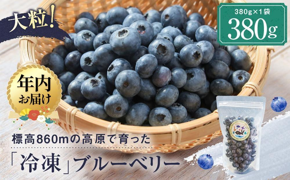 【12月配送】治助ファームの北部ハイブッシュブルーベリー「冷凍果実」380g×1袋 | 年内発送 国産 フルーツ おやつ 製菓 冷凍 果物 冷凍フルーツ 飛騨高山 治助ファーム LJ005VC12