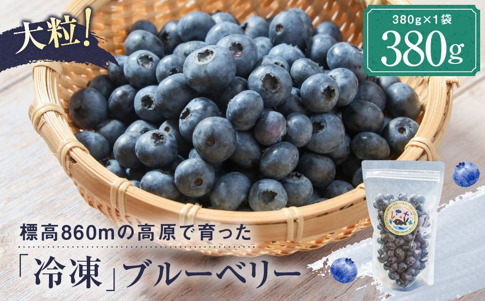 治助ファームの北部ハイブッシュブルーベリー「冷凍果実」380g×1袋 | 国産 フルーツ おやつ 製菓 冷凍 果物 冷凍フルーツ 飛騨高山 治助ファーム LJ005VC13