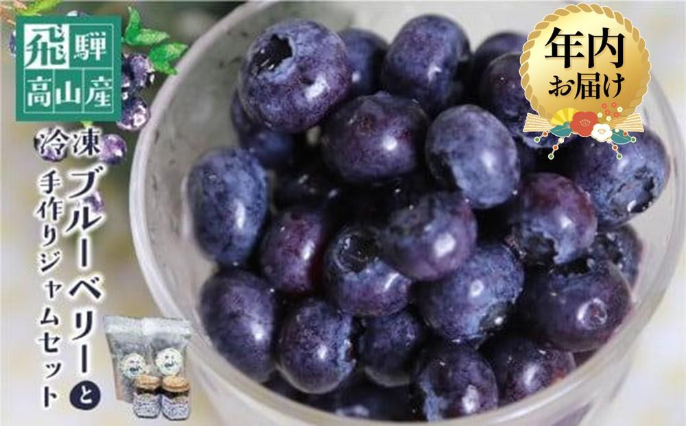 【12月配送】治助ファームの北部ハイブッシュブルーベリー「冷凍果実」210g×2袋と手作りジャム110g×2個セット | 年内発送 国産 ブルーベリー ジャム フルーツ おやつ 製菓 冷凍 くだもの 果物 冷凍フルーツ 飛騨高山 治助ファーム LJ006VC12