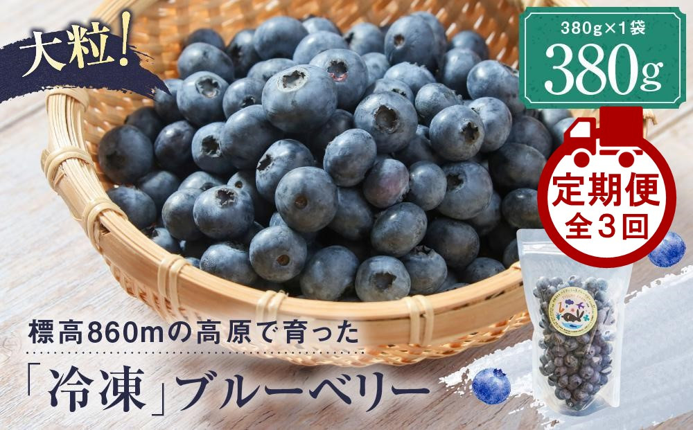【定期便】治助ファームの北部ハイブッシュブルーベリー「冷凍果実」380g×3回 | ブルーベリー 冷凍 果物 フルーツ 人気 おいしい 飛騨高山 治助ファーム LJ100