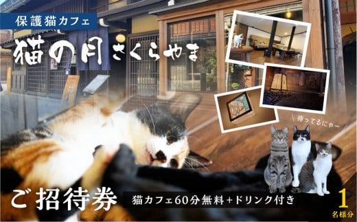 猫の月さくらやまご招待券1名様分（猫カフェ60分無料＋ワンドリンク付き）　ネコカフェ チケット 猫 ねこ ドリンク付き 古民家カフェ 保護猫 猫の月 さくらやま LM005