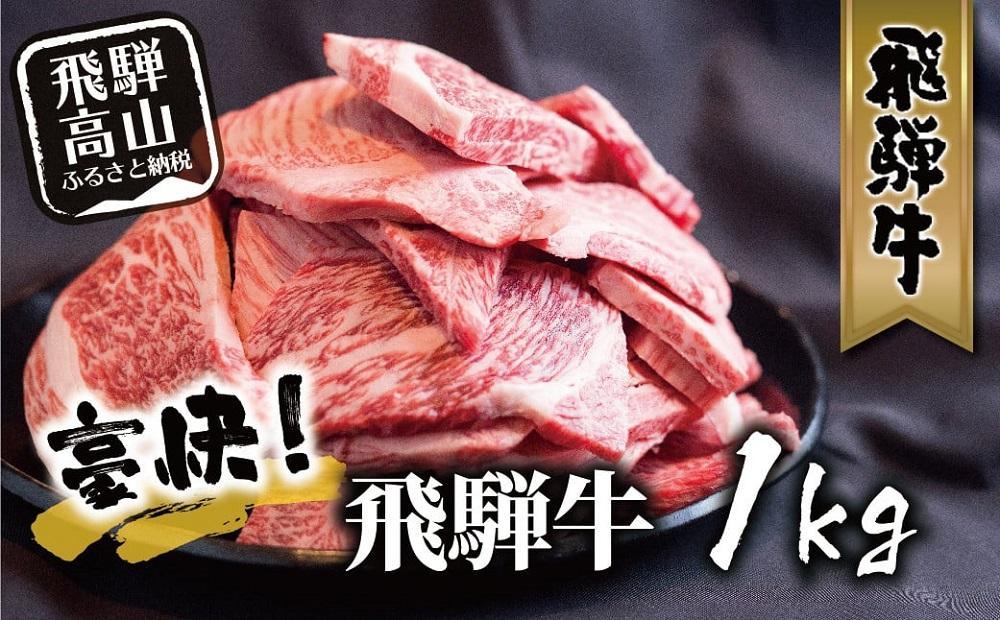 【2026年1月～4月発送】飛騨牛 訳あり焼肉1kg 切りおとし | 牛肉 訳あり 部位 大きさ 不揃い 日付指定不可 冷凍 焼き肉 BBQ バーベキュー 切落し 和牛 牛肉 飛騨高山 株式会社丸明 LR008FAJ01-04