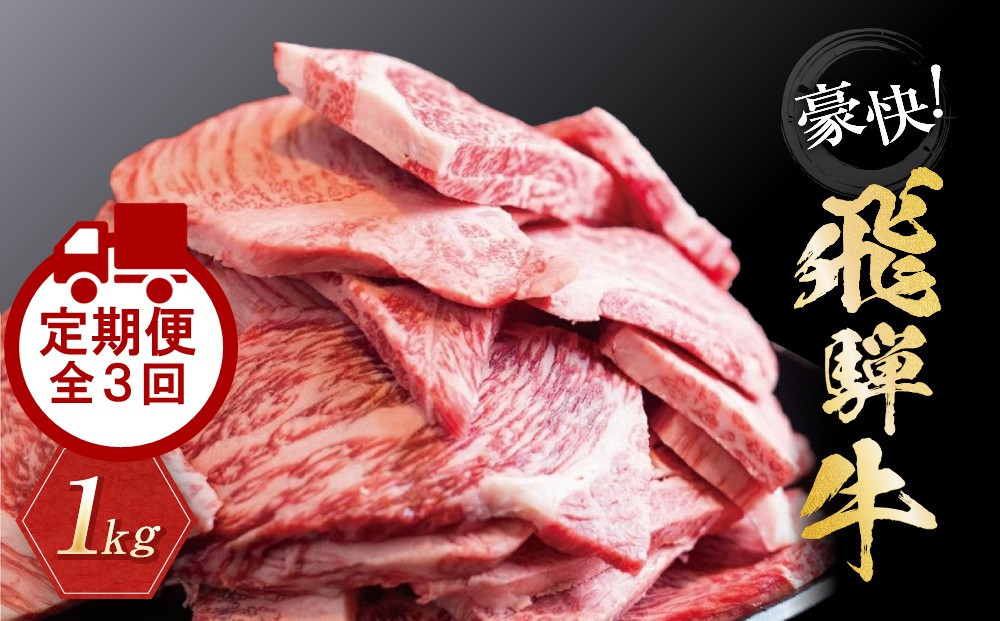 【定期便全3回】飛騨牛 訳あり焼肉1kg 切り落とし  肉 にく 焼肉 飛騨牛 高山｜2ヶ月に1回お届け 飛騨高山 株式会社丸明 LR105