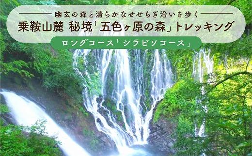 2025・26年度シーズン 乗鞍山麓 秘境「五色ヶ原の森」トレッキング ロングコース「シラビソコース（所要8時間）」 大人2名分 | 観光 森 自然 ガイド 案内 ツアー トレッキング 飛騨高山 乗鞍山麓五色ヶ原の森 MK002
