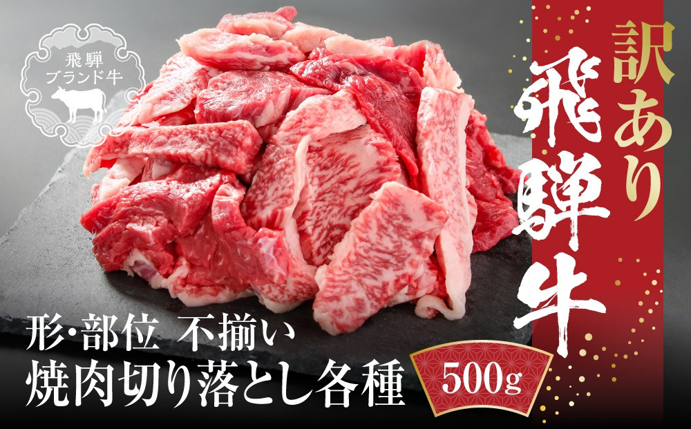 訳あり 飛騨牛 焼肉 切り落とし 500g 冷凍真空パック | 肉 お肉 切落し 不揃い 焼肉 焼き肉 やきにく 黒毛和牛 和牛 人気 おすすめ 牛肉 ギフト お取り寄せ 飛騨高山ミート MZ013
