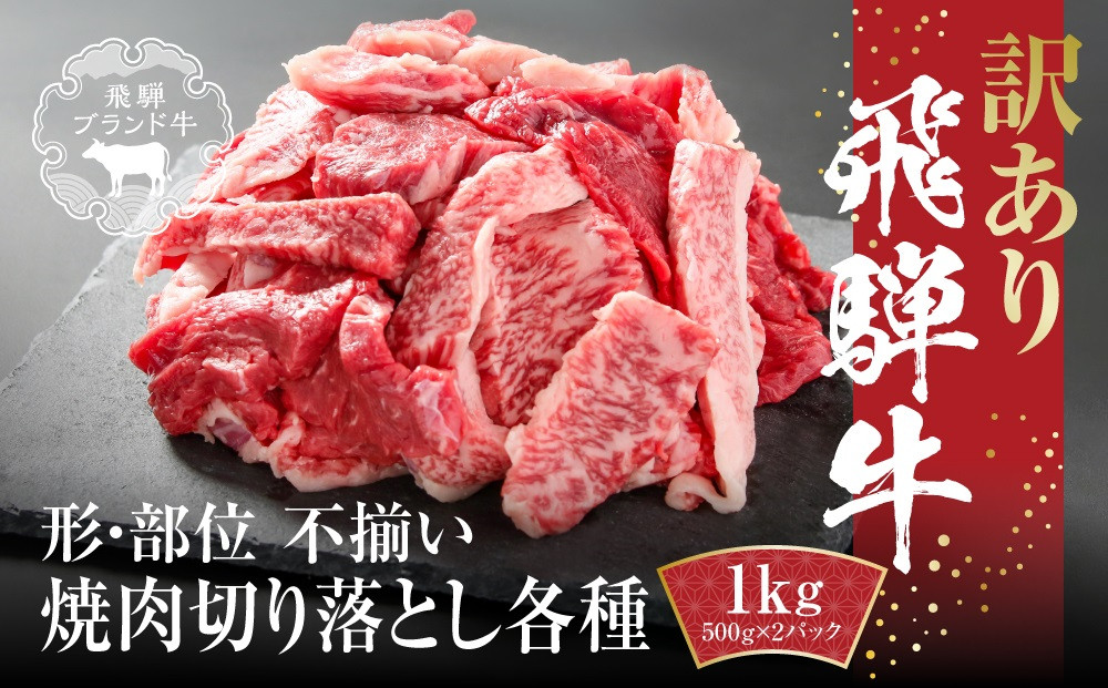 訳あり 飛騨牛 焼肉 切り落とし 1kg(500g×2パック) 冷凍真空パック | 肉 お肉 切落し 不揃い 焼肉 焼き肉 やきにく 黒毛和牛 和牛 人気 おすすめ 牛肉 ギフト お取り寄せ 飛騨高山ミート MZ036