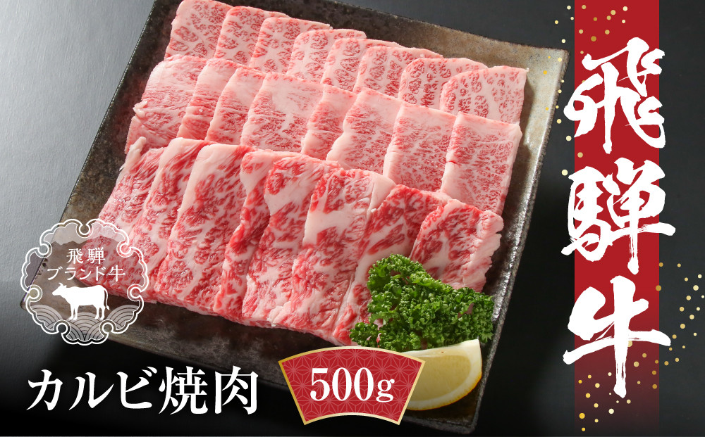 飛騨牛 カルビ焼肉 500g(1パック) 冷凍真空パック | 肉 お肉 焼肉 焼き肉 やきにく 黒毛和牛 和牛 人気 おすすめ 牛肉 ギフト お取り寄せ 飛騨高山ミート MZ037