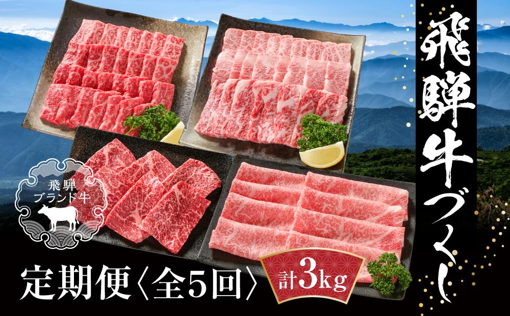 【定期便】飛騨牛 全５回（焼肉・すき焼き・ステーキ）計3kg | 焼肉 ステーキ カルビ 食べ比べ 牛 定期【飛騨高山ミート MZ100】
