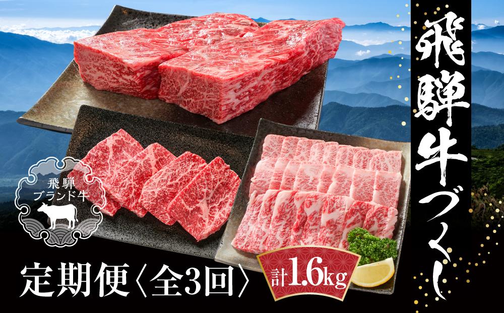 【定期便】飛騨牛（全３回）（ステーキ /焼肉 / ブロック[塊] ) 計1.6kg 全3回  | 焼肉 ステーキ カルビ  牛肉 定期 【飛騨高山ミート MZ101】