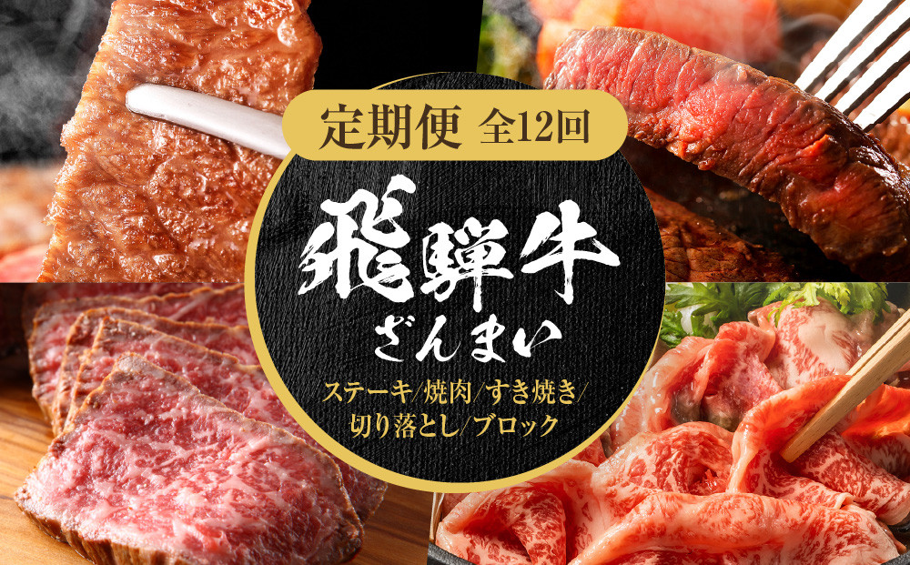 【定期便】全12回 飛騨牛 ざんまい(ステーキ/焼肉/すき焼き/切り落とし/ブロック) | 肉 お肉 黒毛和牛 和牛 個包装 小分け 牛肉 お取り寄せ 飛騨高山ミート MZ106