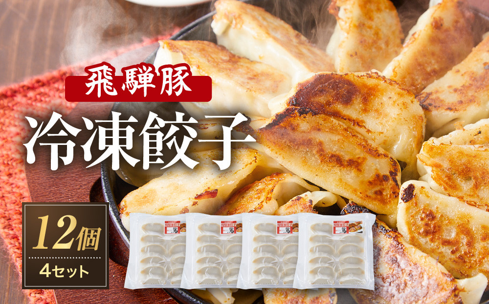 飛騨豚餃子12個入り×4セット（簡易包装）| おいしい焼き方説明書付き 自宅使いに最適 肉 食品 人気 便利 飛騨高山 餃子工房らん NL005