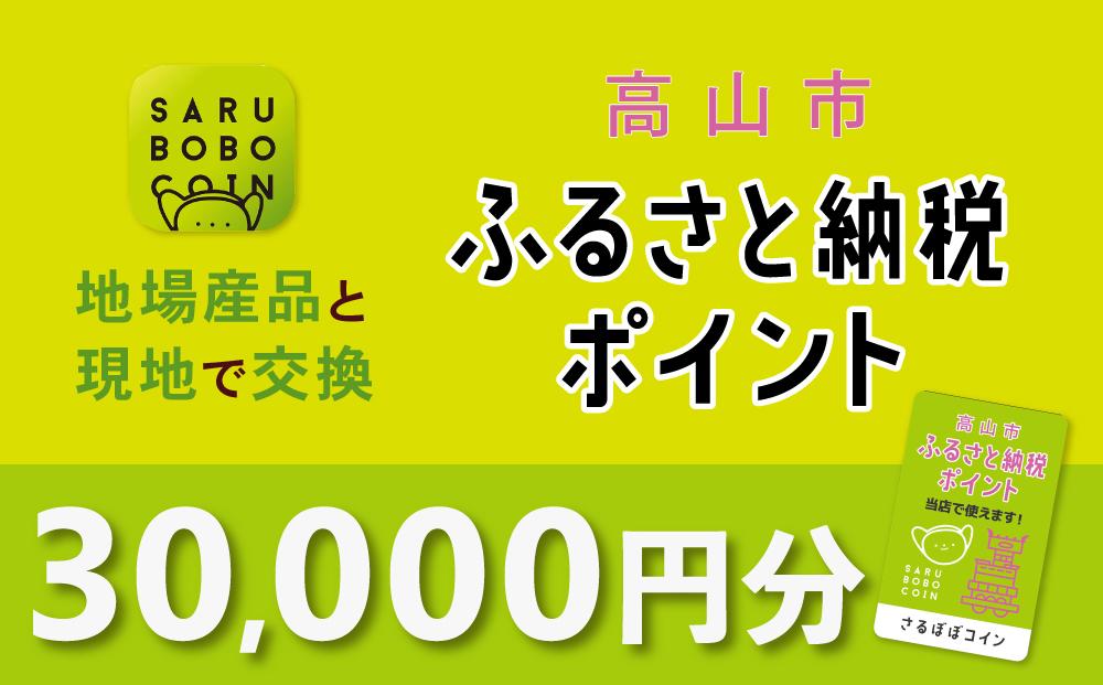 高山市ふるさと納税ポイント 30,000pt【飛騨信用組合 SB006】