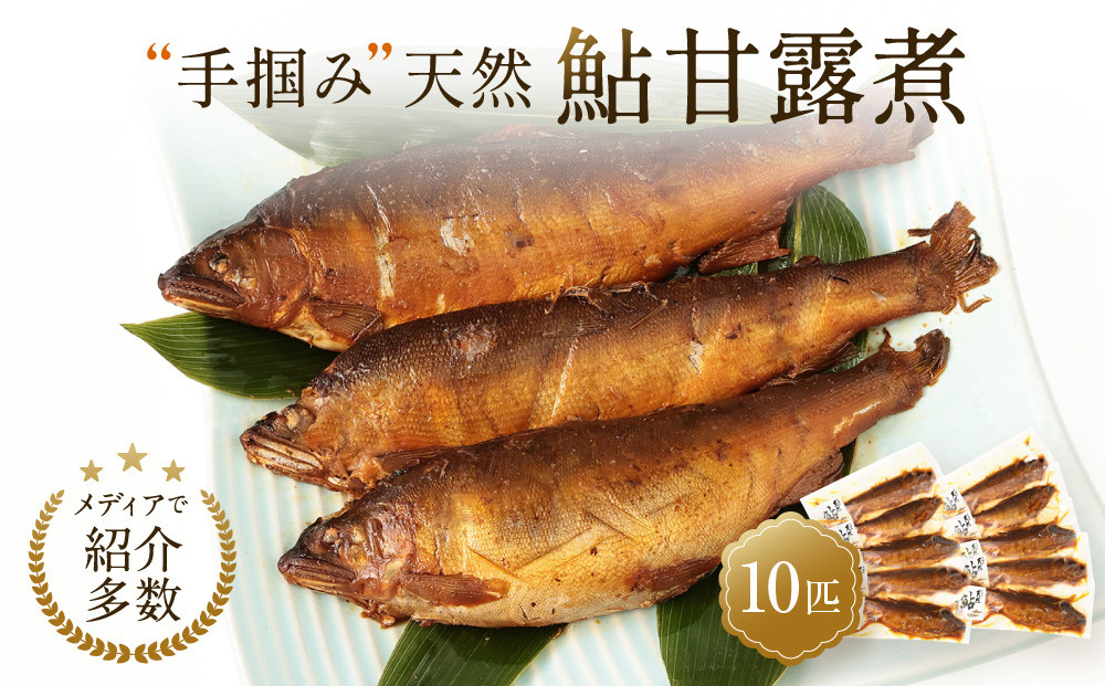 【個包装】秘伝のタレ使用！手掴み天然鮎甘露煮（10匹）| 化学調味料不使用 天然 魚 鮎 おいしい 食品 高山 有限会社井根鉄筋 SF002