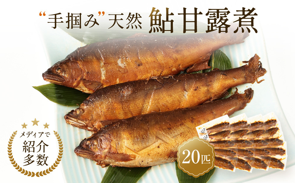 【個包装】秘伝のタレ使用！手掴み天然鮎甘露煮（20匹）| 化学調味料不使用 天然 魚 鮎 おいしい 食品 高山 有限会社井根鉄筋 SF004