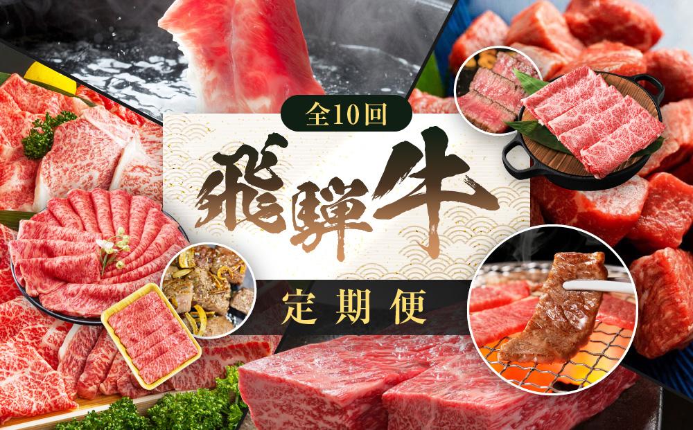 飛騨牛 定期便 全10回 牛肉 ( ステーキ / 焼肉 / しゃぶしゃぶ / すき焼き ) | 肉 食べ比べ A5 霜降り ロース もも サーロイン 岐阜 高山市 飛騨高山 岐阜県 人気 お楽しみ おすすめ ZZ017