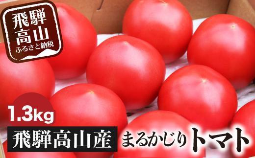 [2025年予約受付]旬の味をお届け!果肉が厚くてみずみずしい 飛騨高山産トマト 『麗月』1.3kg | とまと トマト 産地直送 野菜 飛騨高山 まるかじり農園 FW001VC01