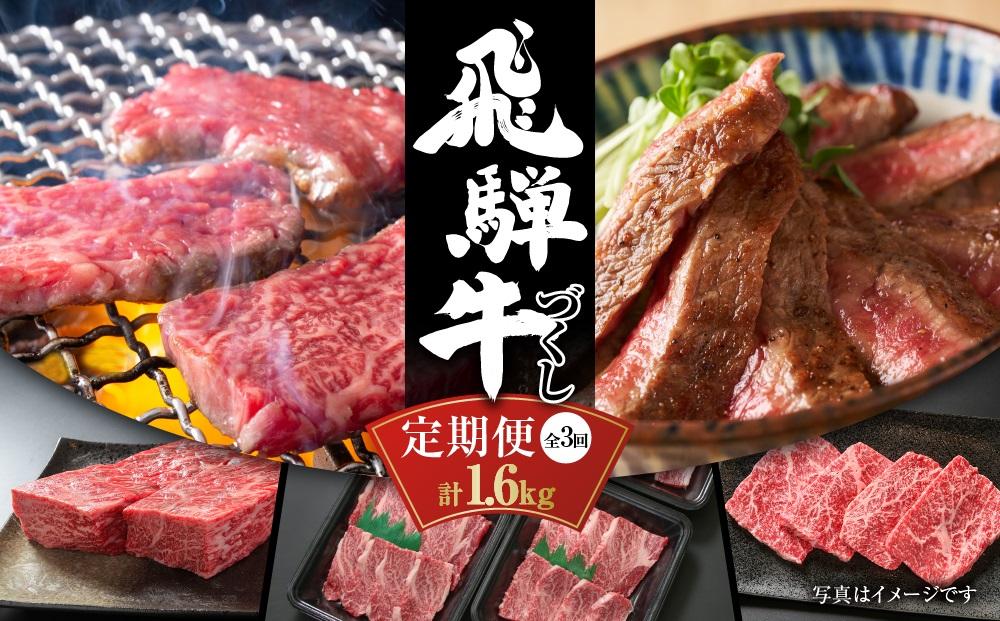 [定期便]飛騨牛(全3回)(ステーキ /焼肉 / ブロック[塊] ) 計1.6kg 全3回 飛騨高山ミート