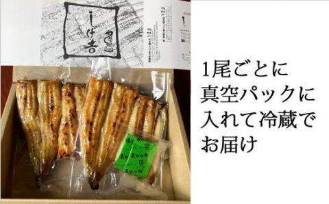 G18-03 しげ吉 炭火焼 うなぎ白焼き 2本セット（冷蔵）