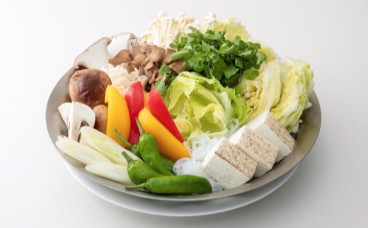 貝印 SELECT100 浅型ざる 25cm 000DF5008 セレクト100 関市 ザル キッチンツール 料理 刃物 おしゃれ 便利