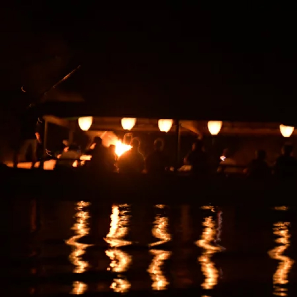 小瀬鵜飼観覧乗船券 大人1名分