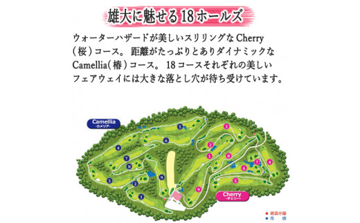 【平日限定 おひとり様】トーシンさくらヒルズゴルフクラブプレー券 T19-04 利用券 岐阜県 名古屋から車で1時間 岐阜から車で1時間 中濃