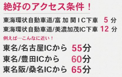 プレー割引券×25枚（岐阜セントフィールド）