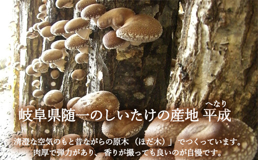 G10-24 平成椎茸すなっく 食べ比べ 6箱（35g×6）～しいたけのお菓子（チップス）～