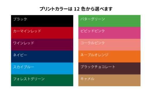 T45-04 【オウンネーム】PHYZ ファイズ ゴルフボール パールピンク 1ダース