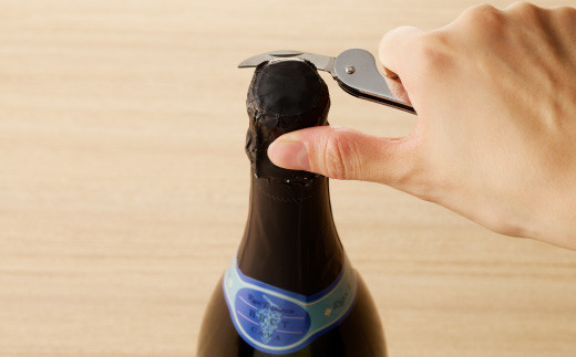 H5-219 ソムリエナイフ 鉄クローム