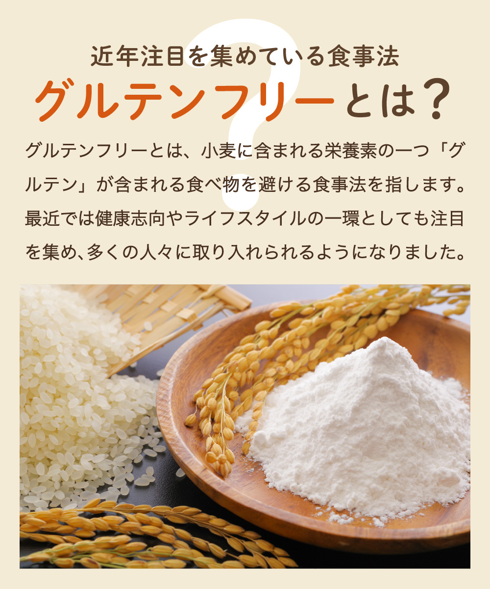 G3-13 米粉500ｇ 【岐阜県産ハツシモ米100％】 SSS13 【30営業日】（45日程度）を目安に発送