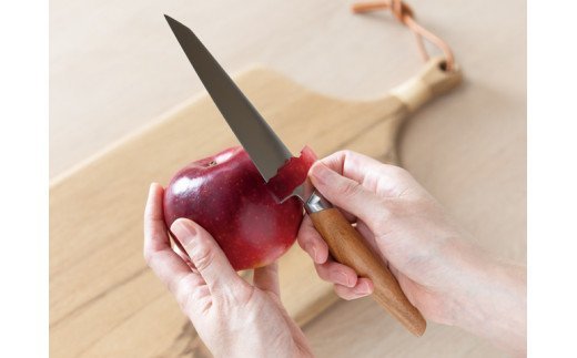 H33-10 Kasane ペティナイフ（SCS125U）