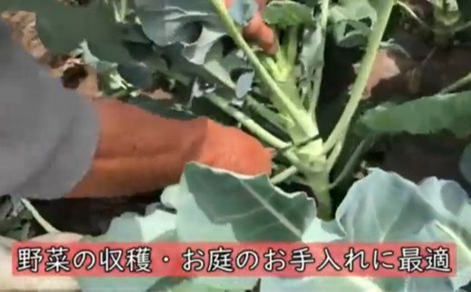 H5-21 万能収穫鎌