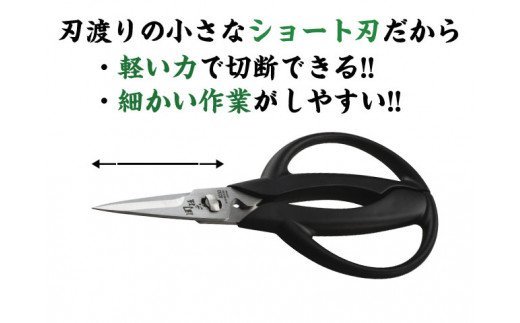 関孫六ショートキッチンハサミ（分解洗浄・食洗器可）