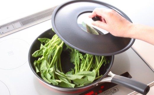 貝印 料理研究家 脇雅世監修 o.e.c IHフライパン 25cm ふた付 2点セット 000DY5200 OEC オーイーシー IH ガスコンロ オーブン 対応 関市 キッチンツール 料理 おしゃれ 便利 蓋 フタ