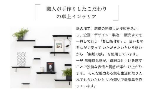 ピア コートツリー 鉄製家具 洋服掛け ハンガーラック D110-01 アイアン 杉山製作所