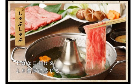 【59E0553】高島屋選定品　飛騨牛すき焼き・しゃぶしゃぶ用ロース 1kg