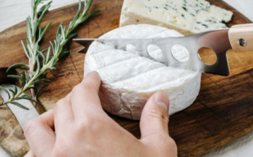 チーズナイフ（BM-223）