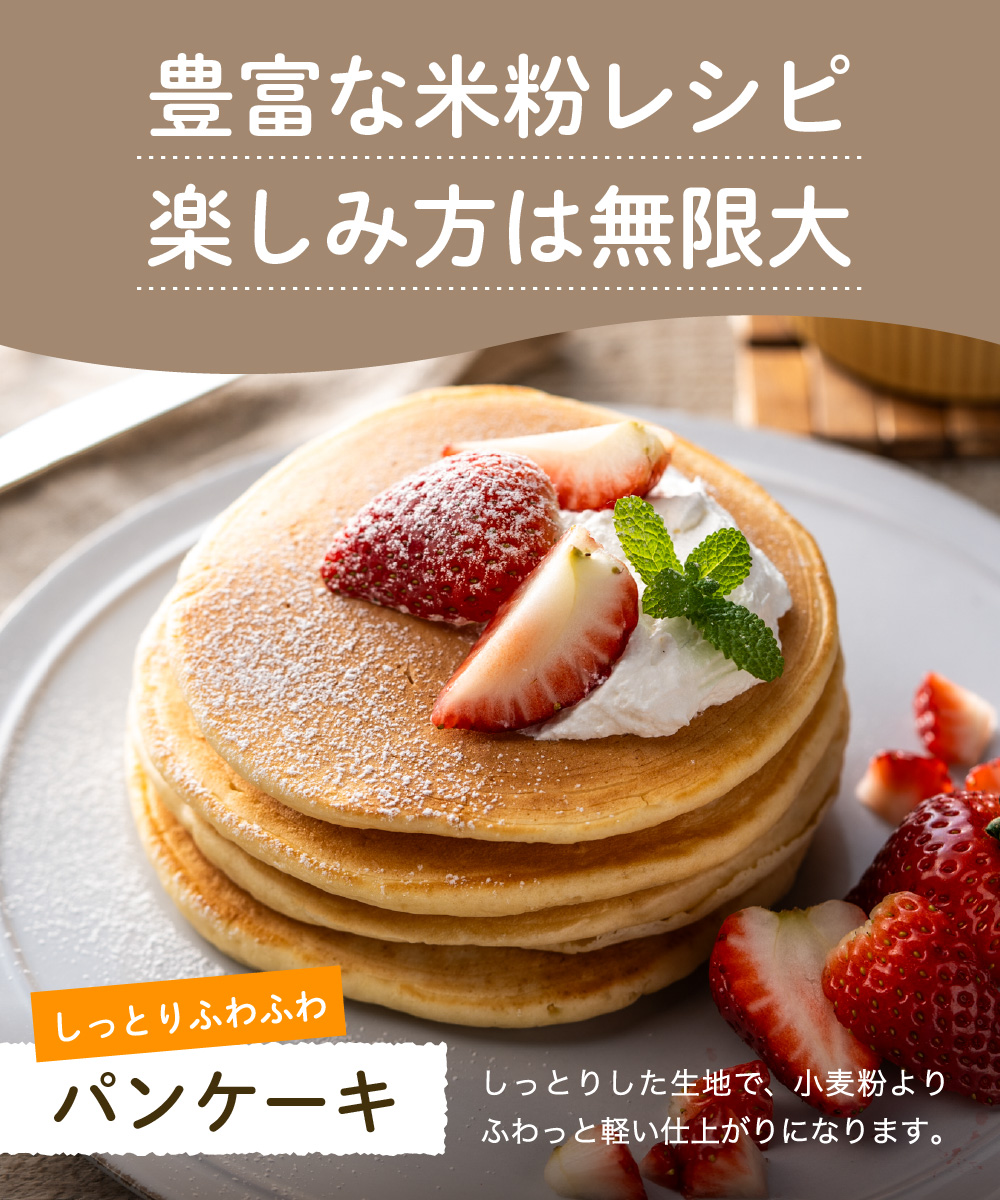 G3-13 米粉500ｇ 【岐阜県産ハツシモ米100％】 SSS13 【30営業日】（45日程度）を目安に発送