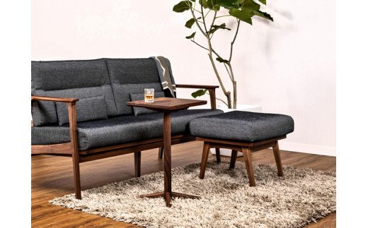 D100-03 IGNITE サイドテーブル【長方・ウォルナット材】JIG-STW195-4035 PNW