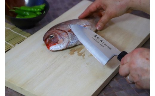 H10-24 濃州正宗作 左利き 出刃・刺身和包丁セット
