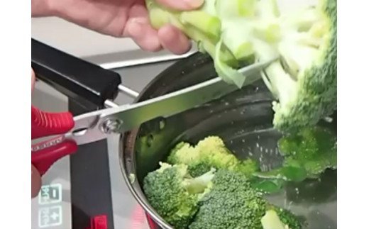 H4-20 キッチンMATE（キッチンハサミ）