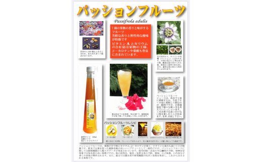 S10-20 糖度18度 パッションフルーツ濃縮果汁 & パッションフルーツ茶のセット【10月より順次発送】
