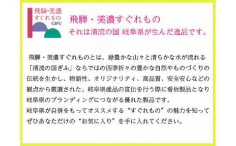 H30-49 濃州正宗作 鋼和包丁2点セット（出刃+刺身）（専用砥石＋研ぎ方DVD付き）【飛騨美濃すぐれもの認定】