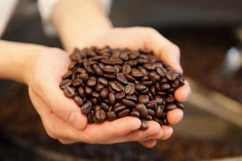 S50-01 カフェ・アダチ コピ・ルアク 80g