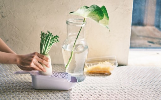 貝印 SELECT100　調理器セット(受け皿・ガード付) 8点セット 000DH3027 スライサー せん切り器 細せん切り器 おろし器 セレクト100 関市 キッチンツール 料理 刃物 おしゃれ 便利【食洗機対応 】