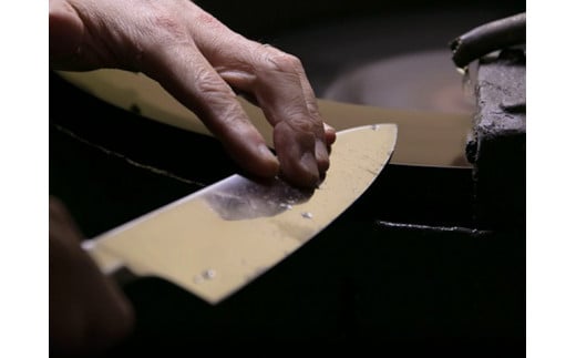 ステンレス一体型包丁 PRO-S ペティナイフ 130mm H11-10 【最長6ヶ月を目安に配送】