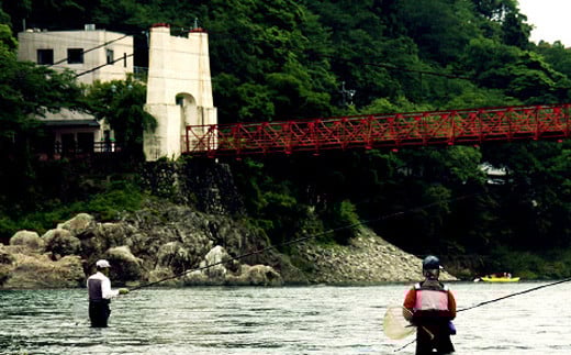 T34-02 鮎釣年間遊漁証